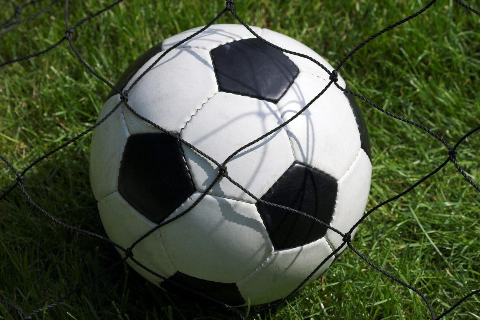 A soccer ball in the grass behind a net.